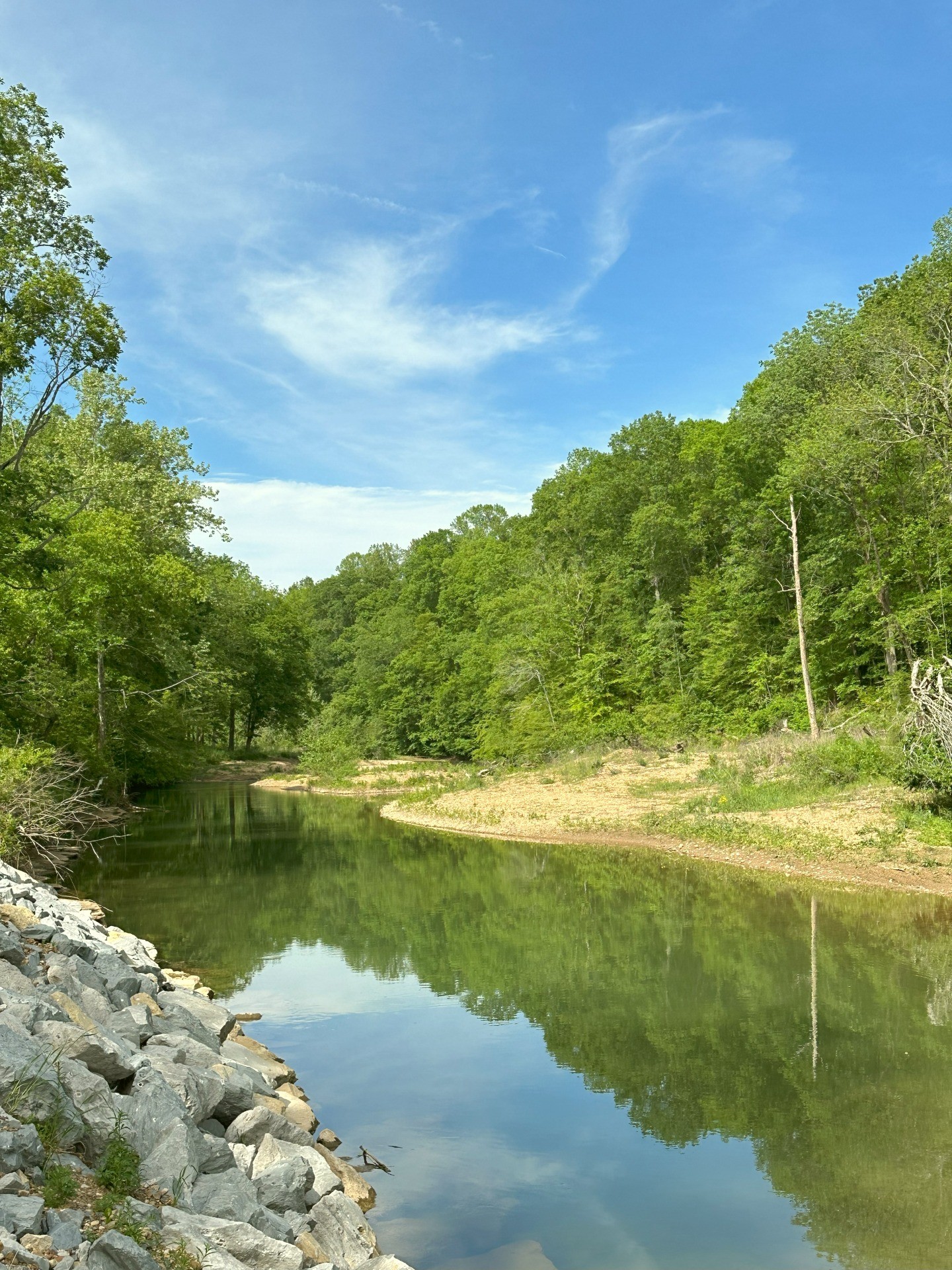 7107 Wells Cemetery Road Dickson, TN 37055 - Photo 36 of 59 a view of a lake with a big yard