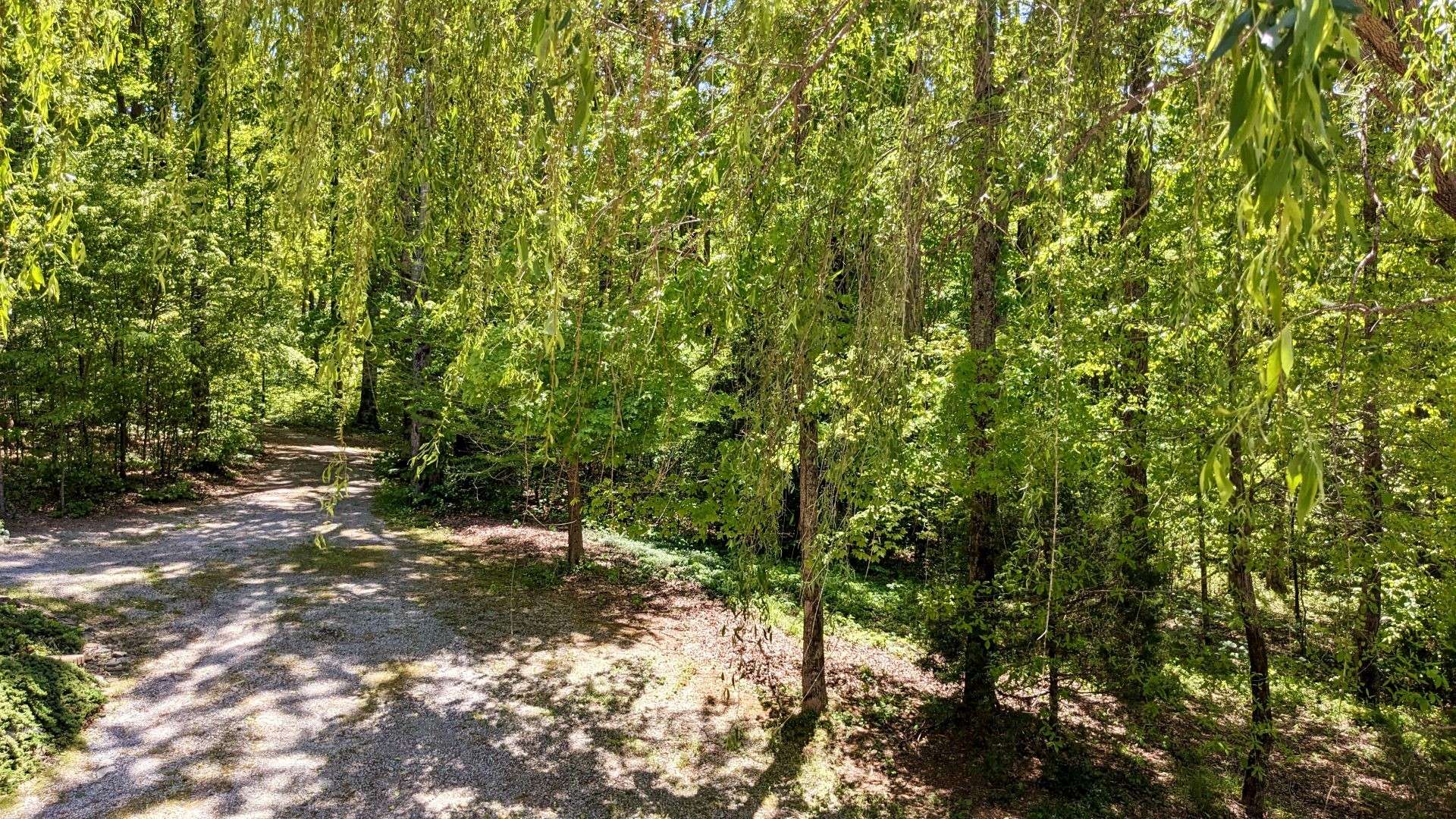 7107 Wells Cemetery Road Dickson, TN 37055 - Photo 44 of 59