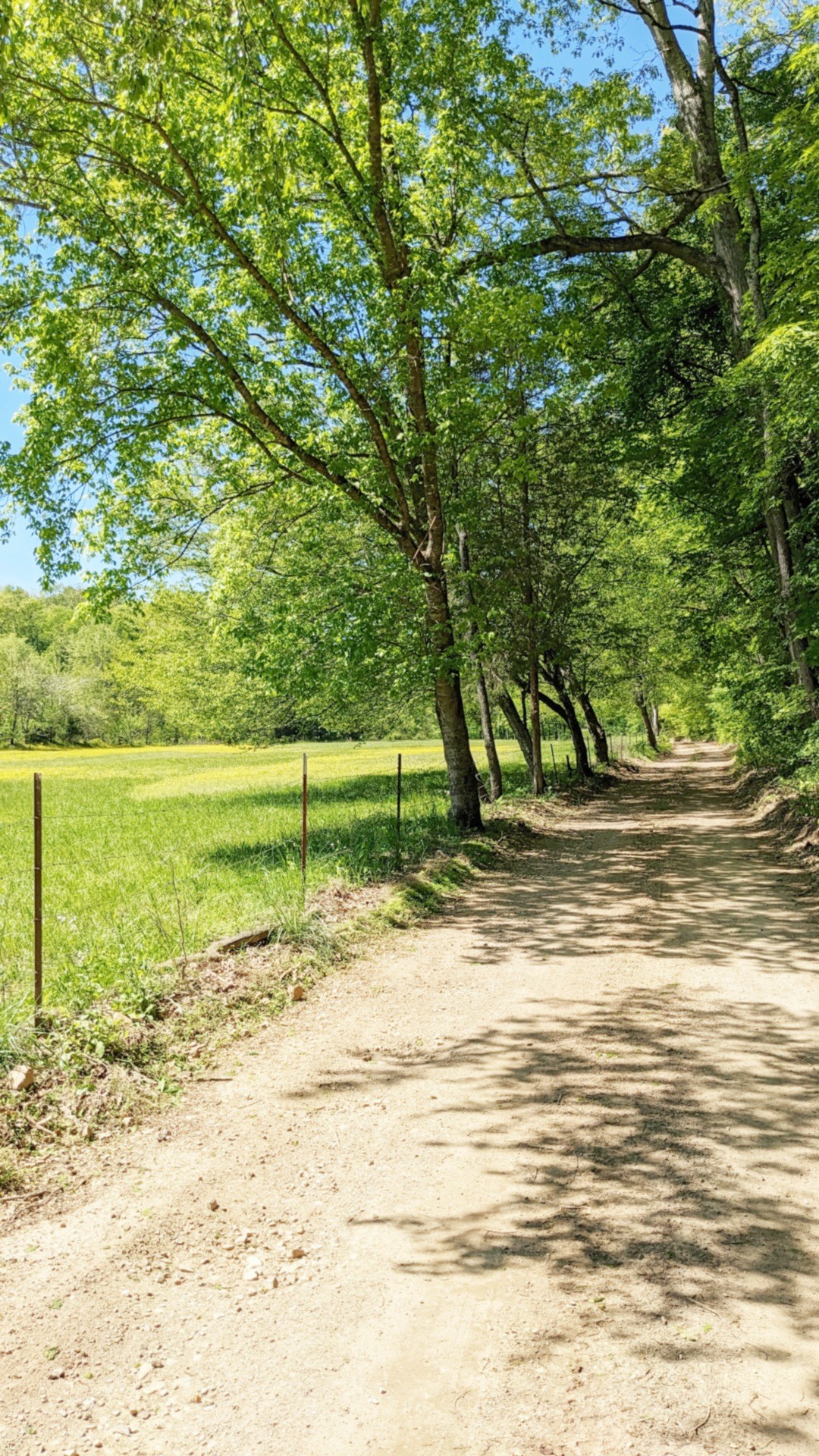 7107 Wells Cemetery Road Dickson, TN 37055 - Photo 58 of 59 a view of a ocean view
