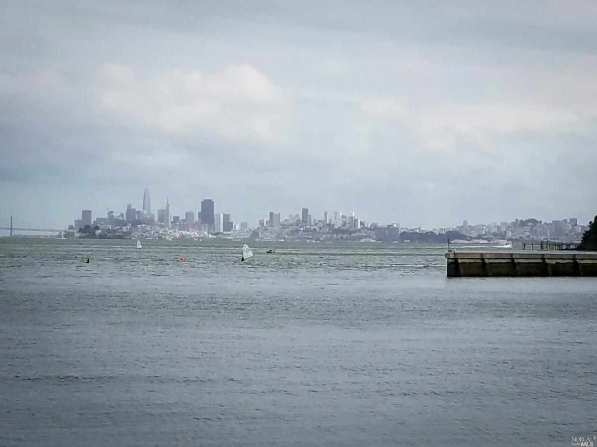 24 Red Hill Circle Tiburon, CA 94920 - Photo 11 of 16