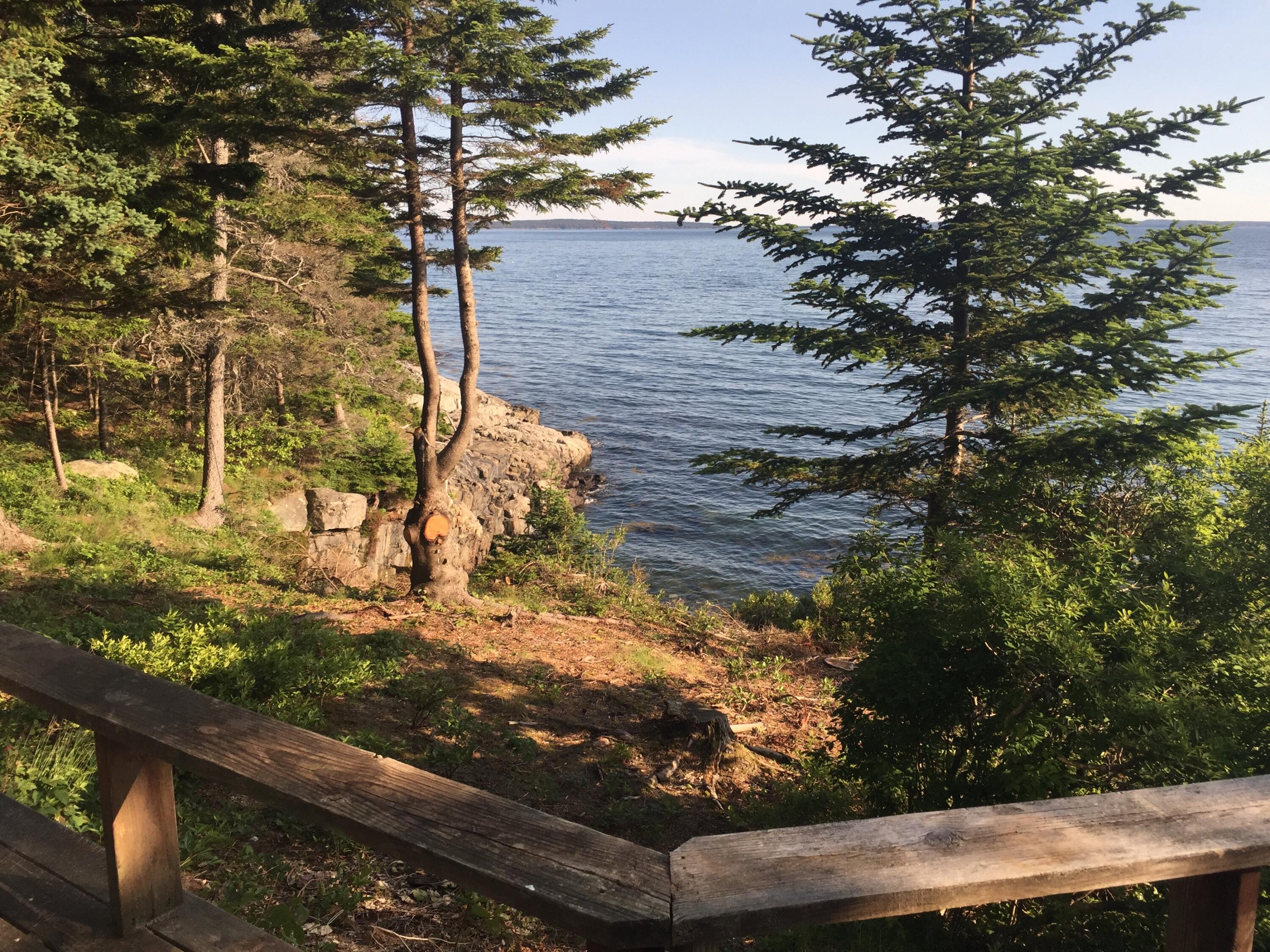 16 Rocky Coast Road Tremont, ME 04612 - Photo 38 of 40 IMG_5798