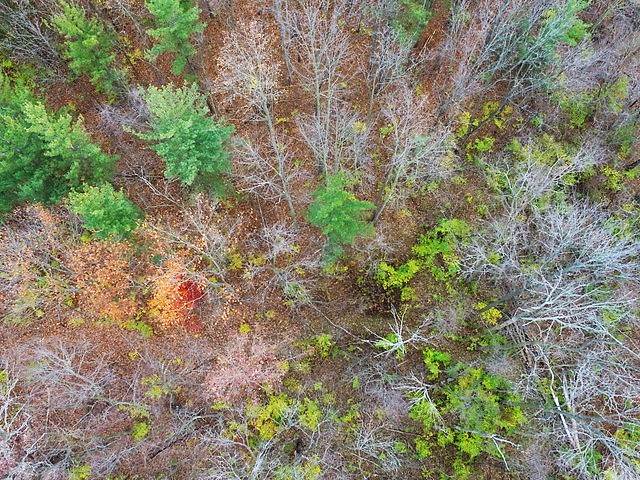 Tbd North Tbd N Marzane Road Markle, IN 46770 - Photo 2 of 6