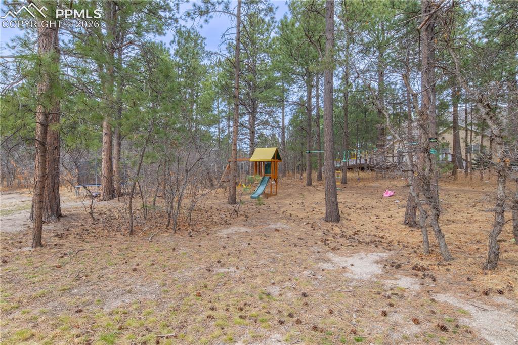 19795 Sleepy Hollow Road Monument, CO 80132 - Photo 48 of 50