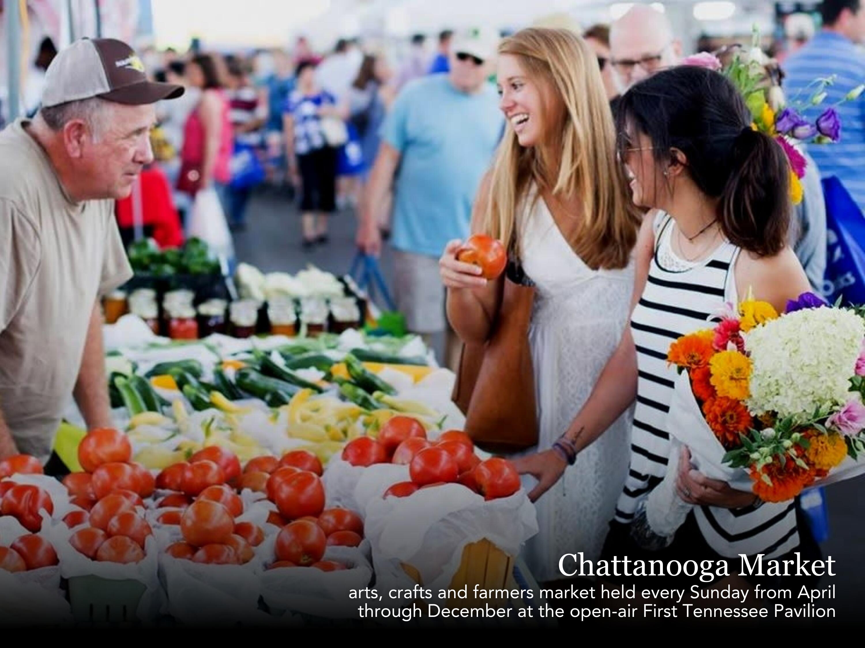 340 Edgewater Way Jasper, TN 37347 - Photo 61 of 63 Chattanooga Market