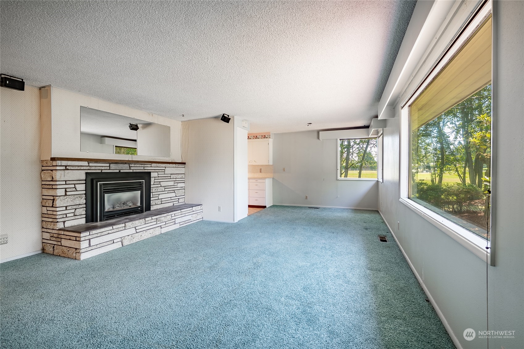 258 West King Tut Road Lynden, WA 98264 - Photo 3 of 34 Gallery Image 3