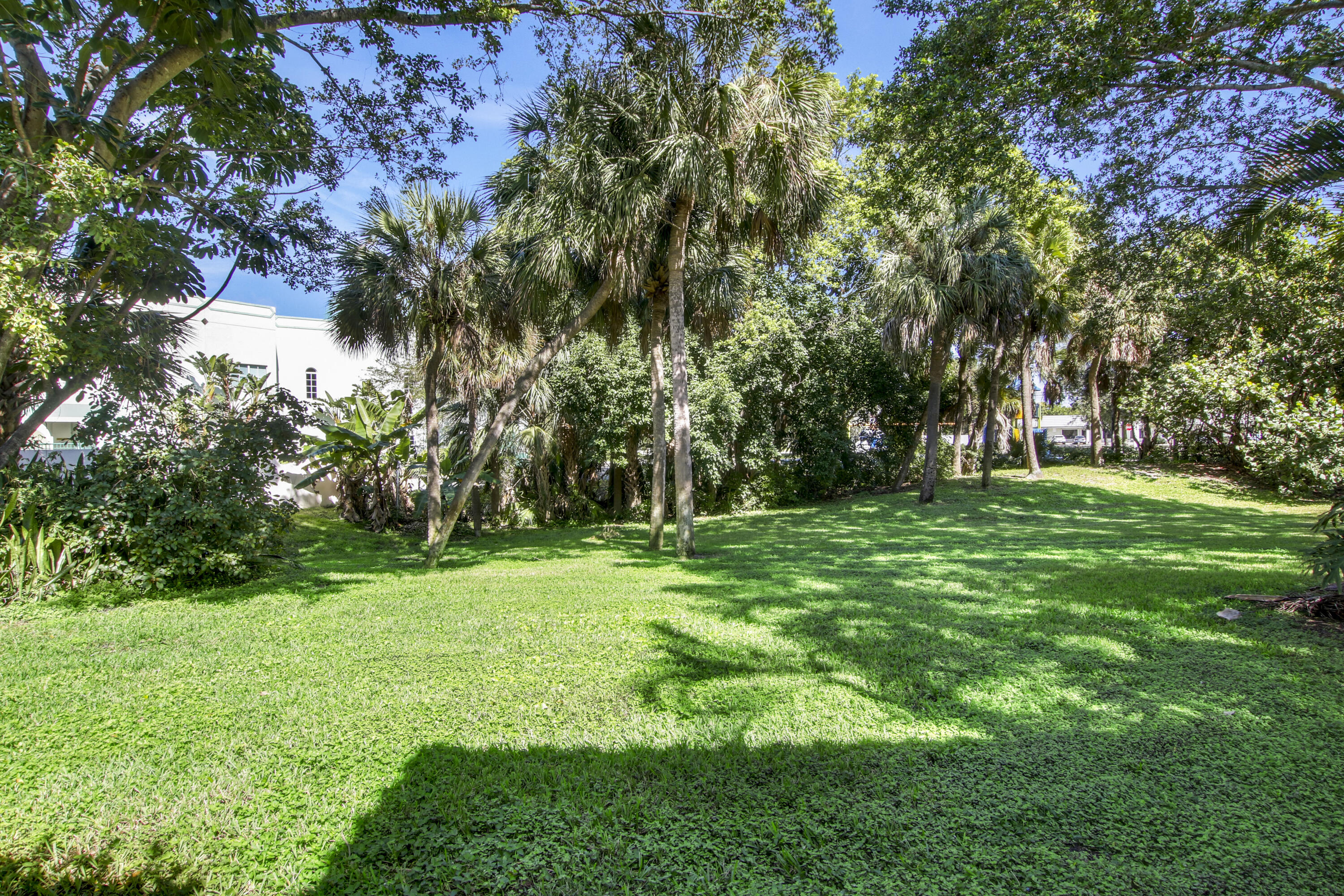 3143 Kingswood Terrace Boca Raton, FL 33431 - Photo 18 of 21 a view of a park with large trees