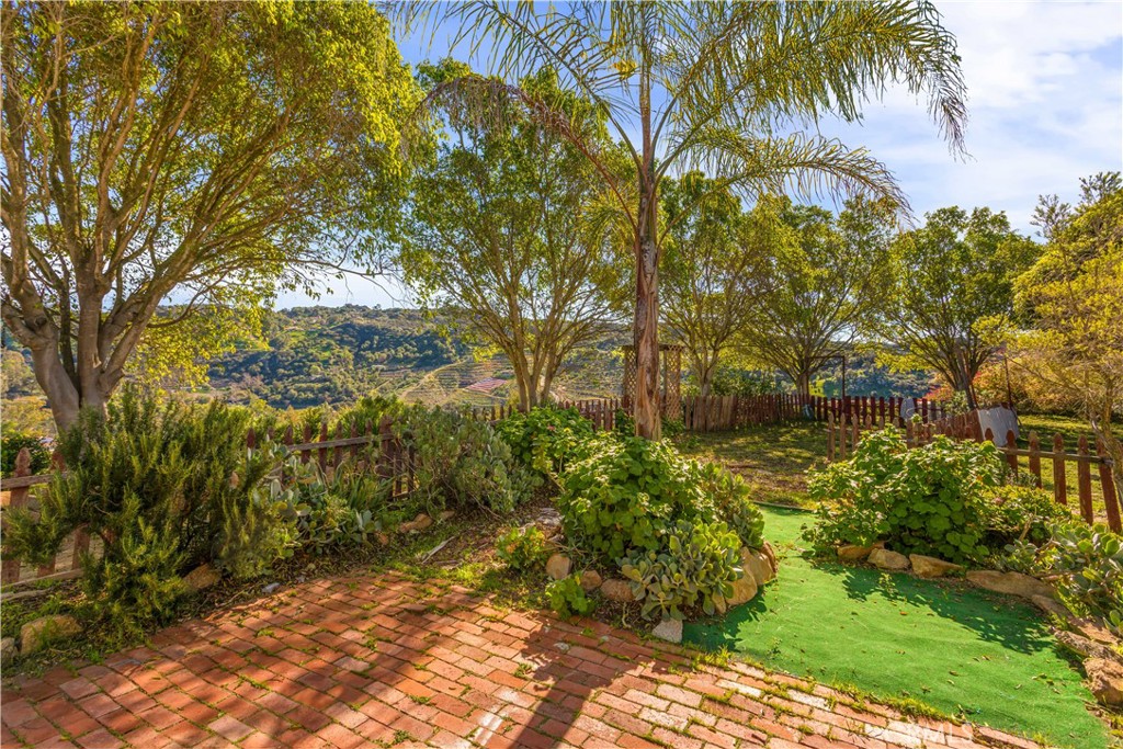 2311 Rose Road Fallbrook, CA 92028 - Photo 36 of 50 a backyard of a house with lots of green space