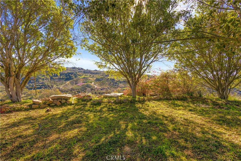 2311 Rose Road Fallbrook, CA 92028 - Photo 38 of 50 a view of a yard with a tree