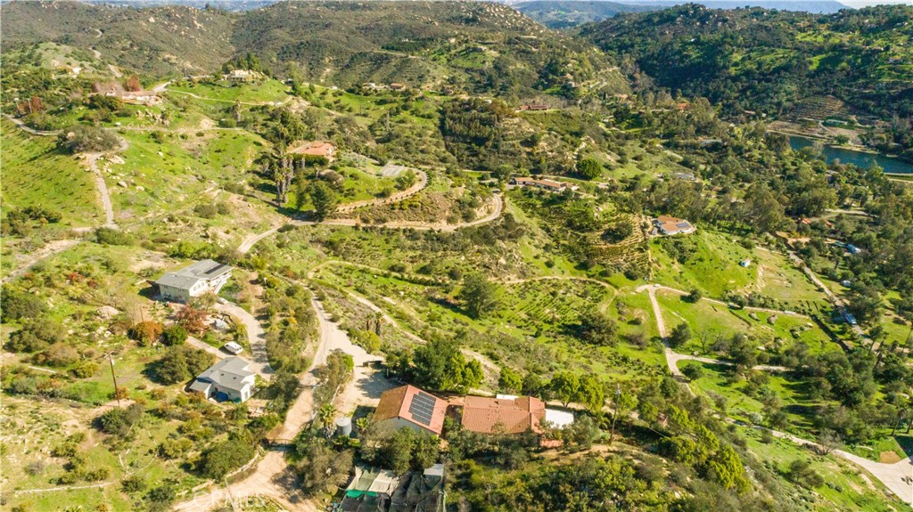 2311 Rose Road Fallbrook, CA 92028 - Photo 45 of 50 view of a large yard with plants and large trees