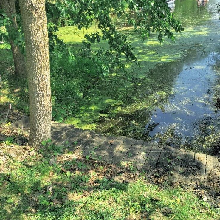 0 Lakeview Drive Decatur, MI 49045 - Photo 14 of 15 image000002(3)