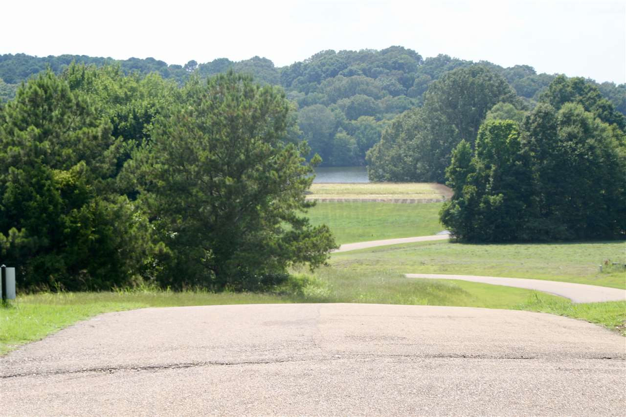 Lot# 15 15 Chestnut Hill Road, Unit 15 Flora, MS 39071 - Photo 3 of 3 Photo 3