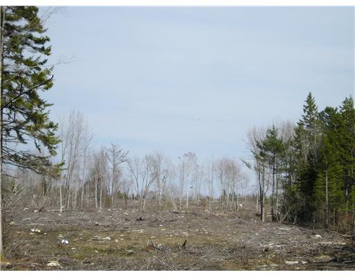 241 Wallston Road St. George, ME 04860 - Photo 4 of 4 Land/Lot.