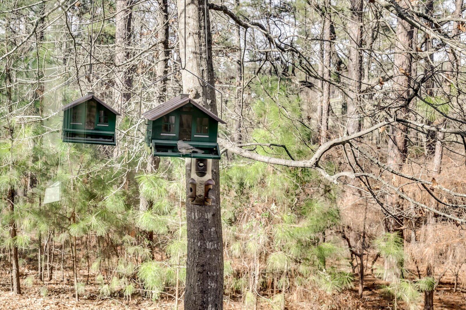 326 Anderson Pond Road Aiken, SC 29803 - Photo 55 of 55 Gallery Image 55