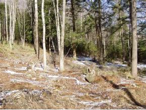 715 Stage Road Richmond, VT 05477 - Photo 4 of 4