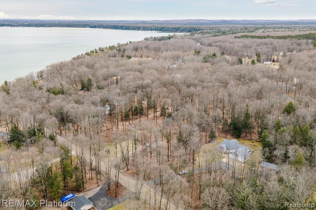 9755 Rogers Road Alanson, MI 49706 - Photo 29 of 30
