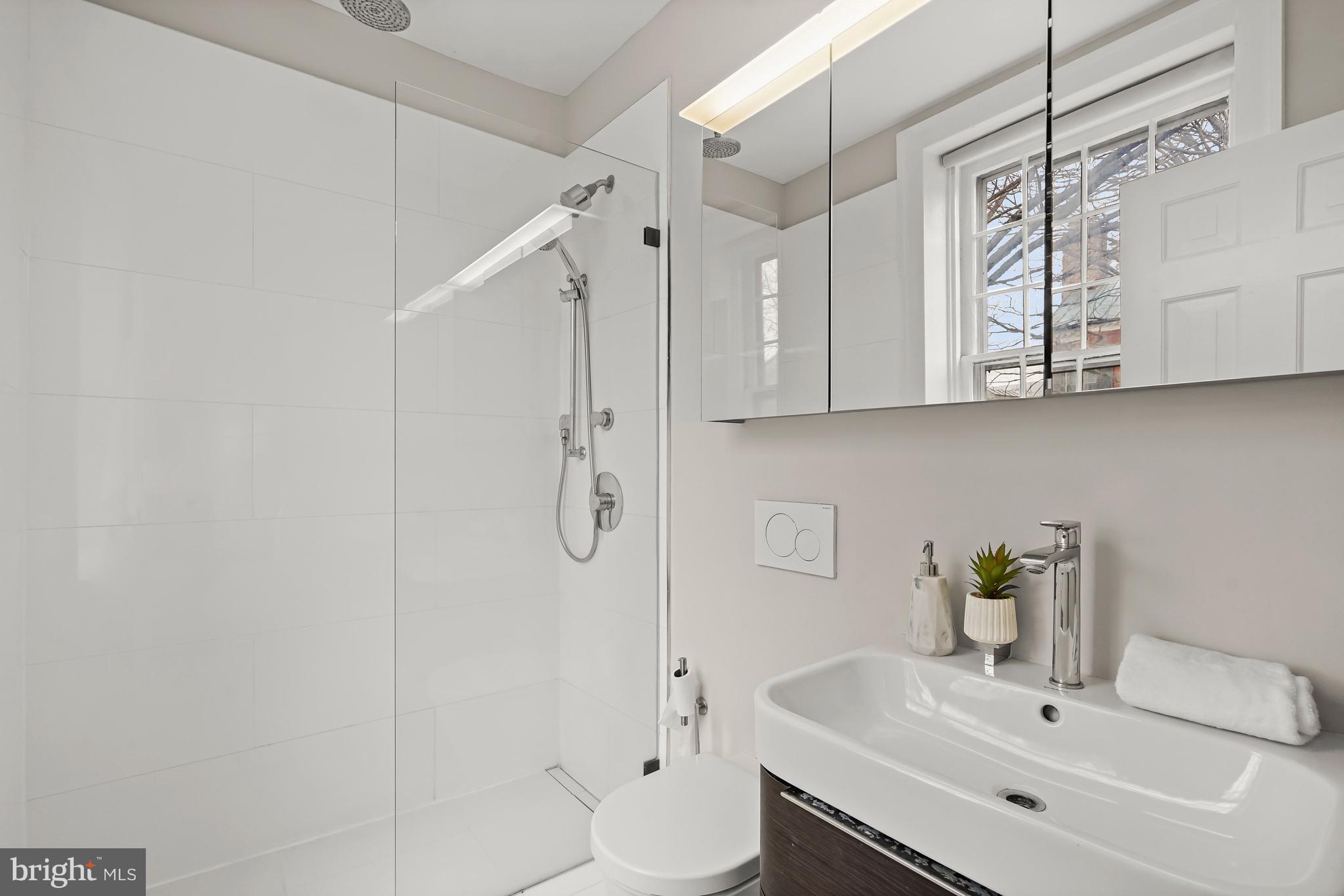 116 Prince Street Alexandria, VA 22314 - Photo 18 of 38 Primary Bath