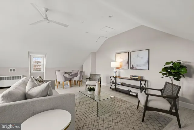 a living room with furniture and a potted plant