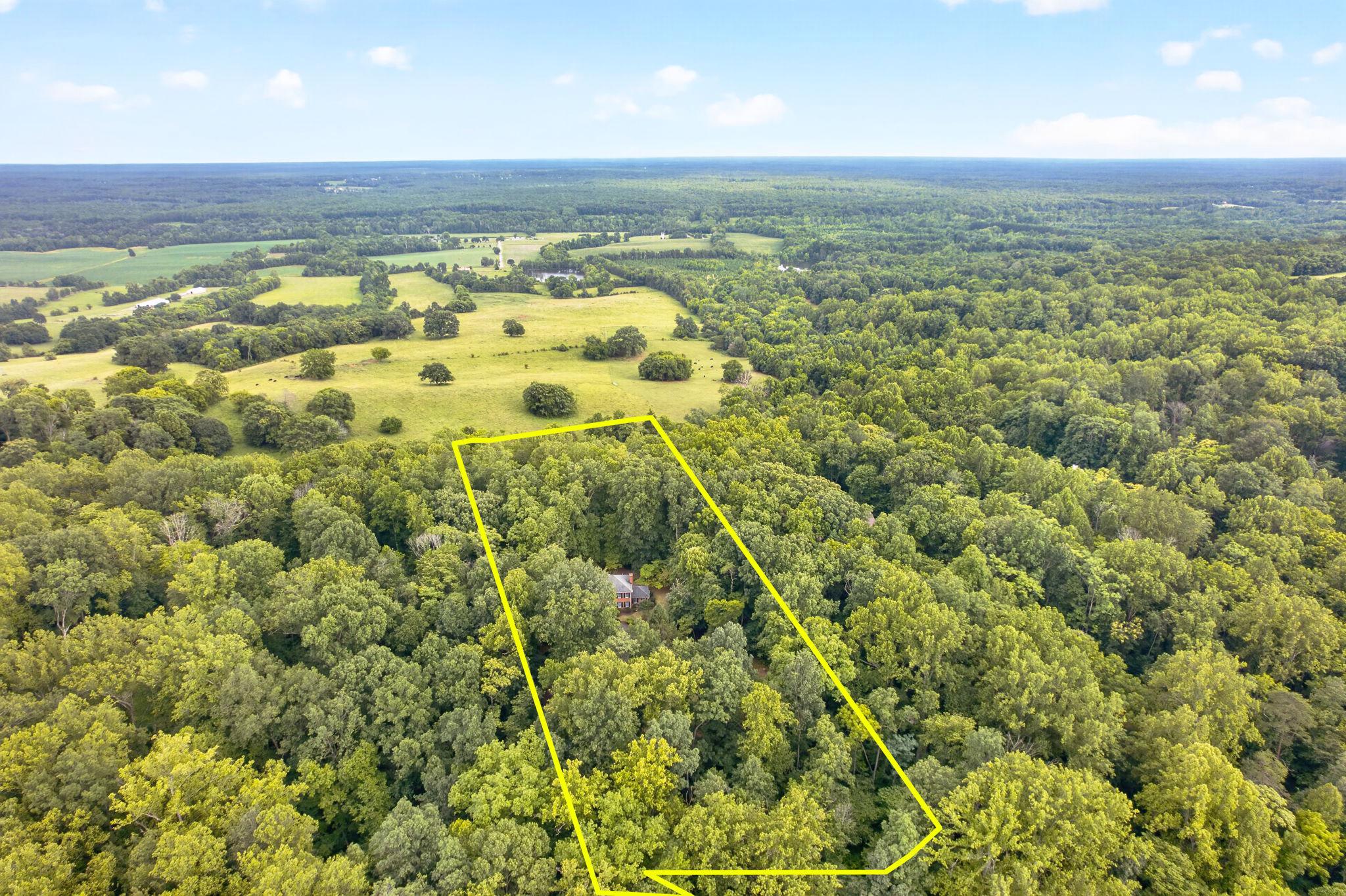 7501 Moormont Road Rapidan, VA 22733 - Photo 71 of 76 Secluded woodland retreat awaits you.