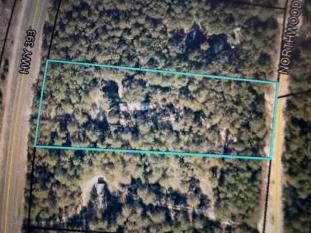5473 Highway 393 Crestview, FL 32539 - Photo 1 of 3 a view of a garden