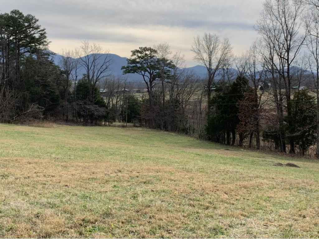 0 Greystone Road, Unit 12 Greeneville, TN 37743 - Photo 4 of 8 Photo 4