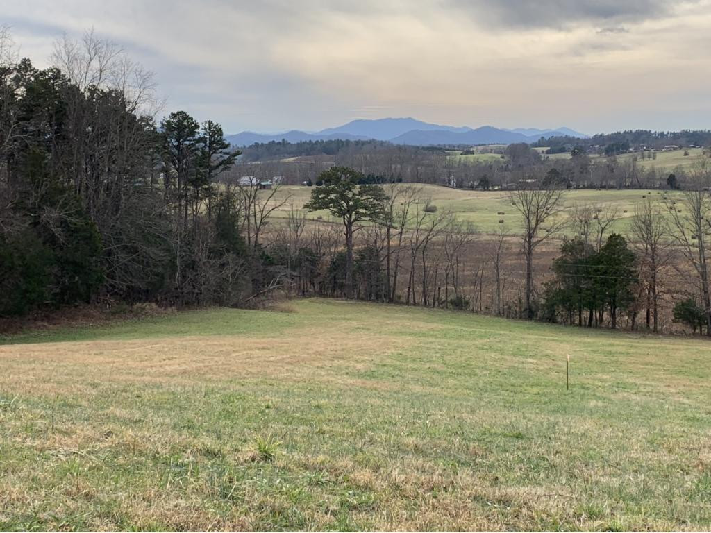 0 Greystone Road, Unit 12 Greeneville, TN 37743 - Photo 7 of 8 Photo 7