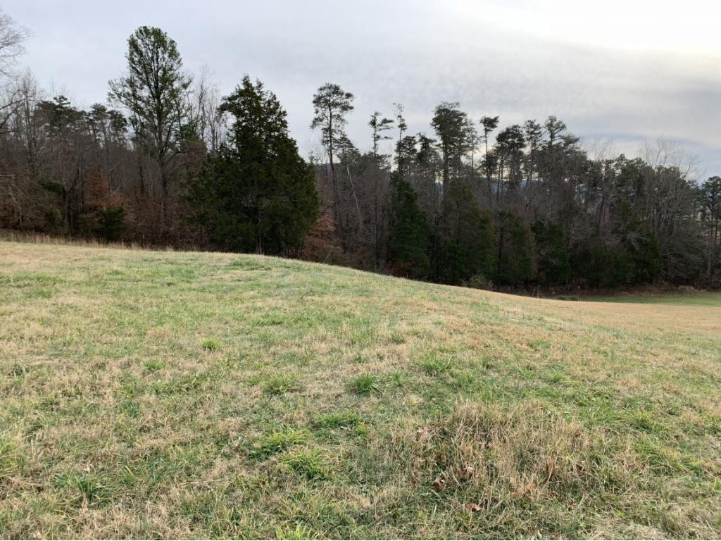 0 Greystone Road, Unit 12 Greeneville, TN 37743 - Photo 8 of 8 Photo 8