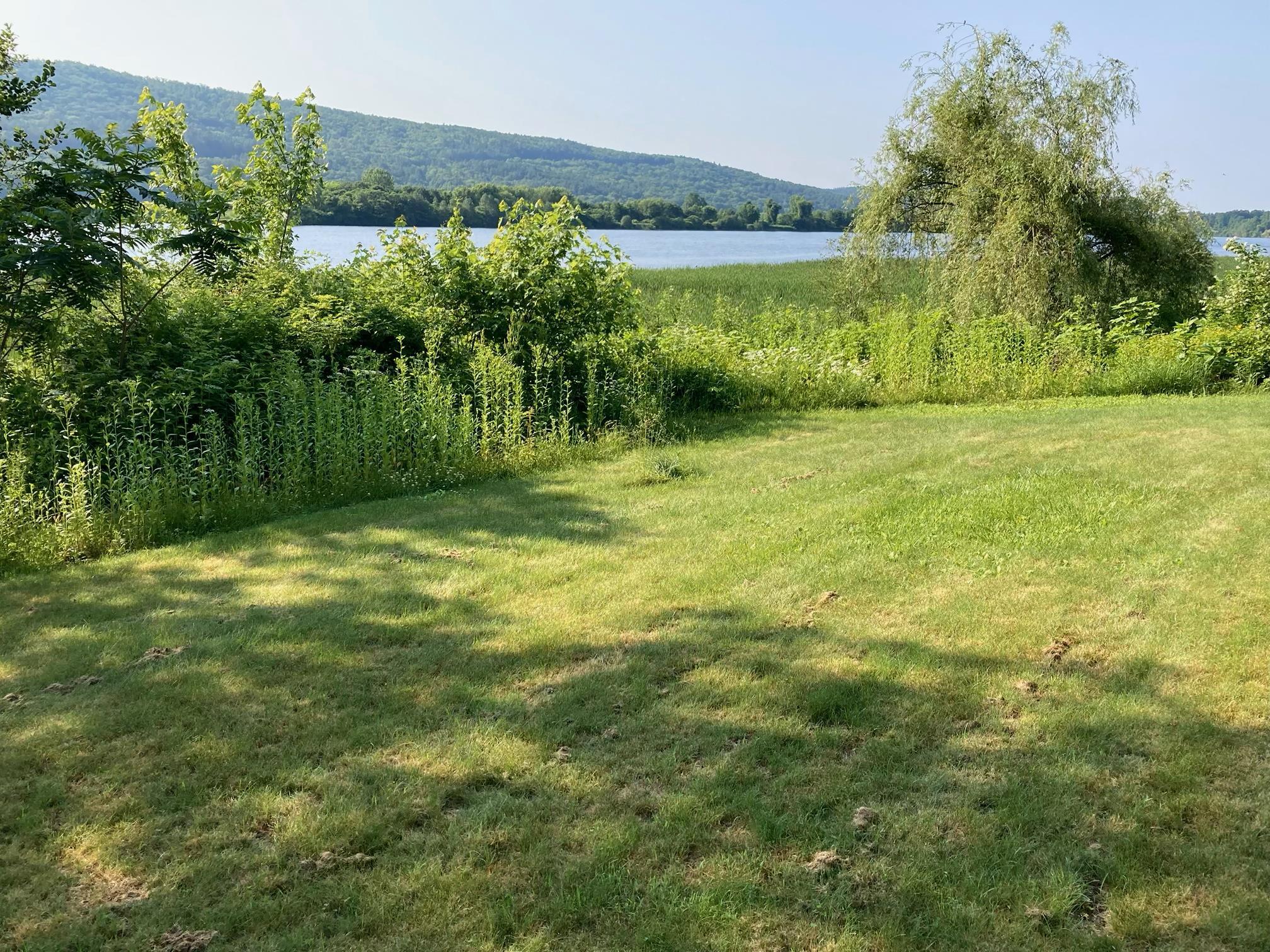 10 River Front Drive Rockingham, VT 05101 - Photo 3 of 16