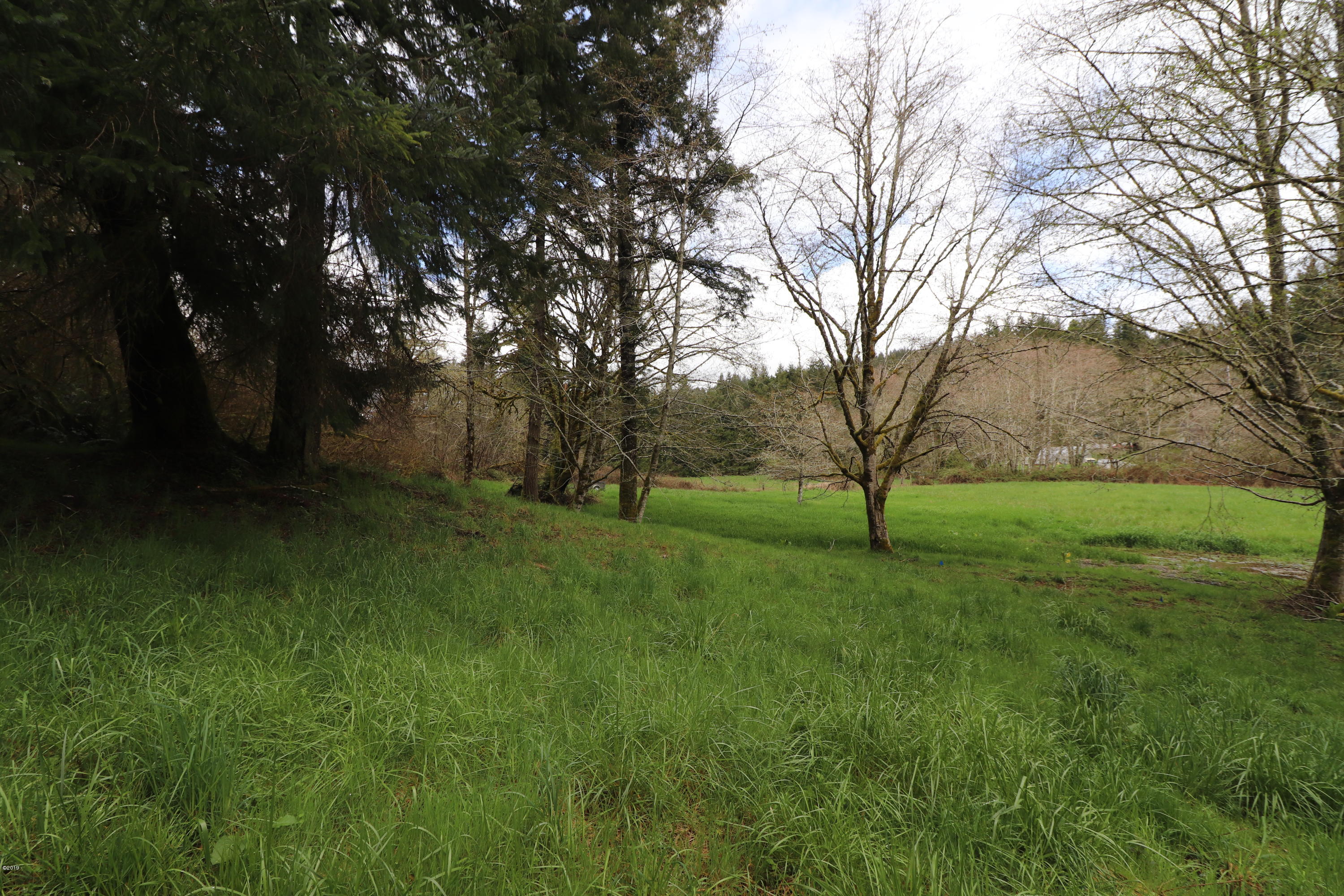 568 Olalla Road Toledo, OR 97391 - Photo 22 of 23 Pasture