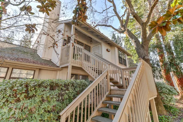 a view of a house with wooden stairs and a large tree