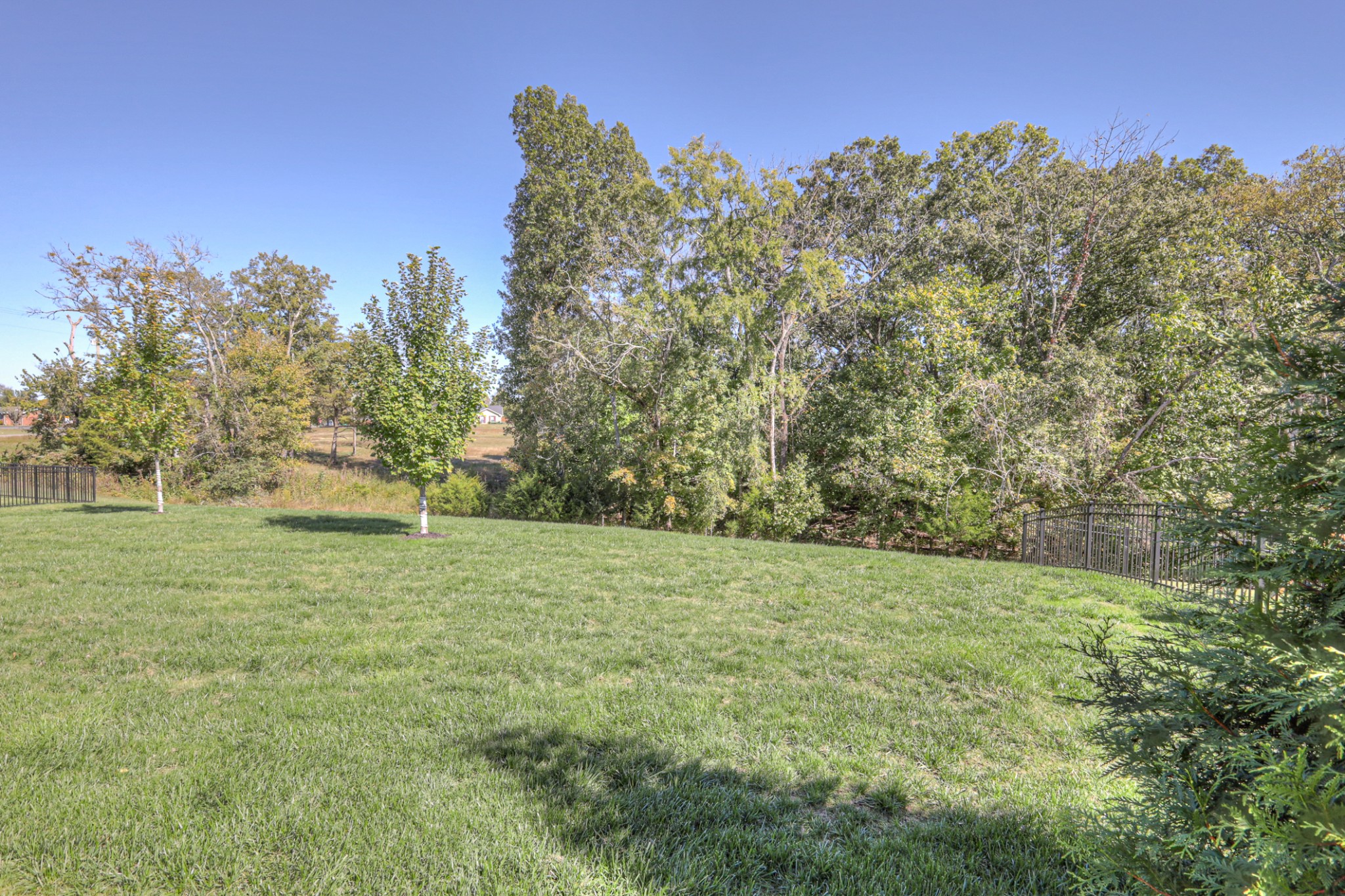 103 Pima Trail Lebanon, TN 37087 - Photo 47 of 53