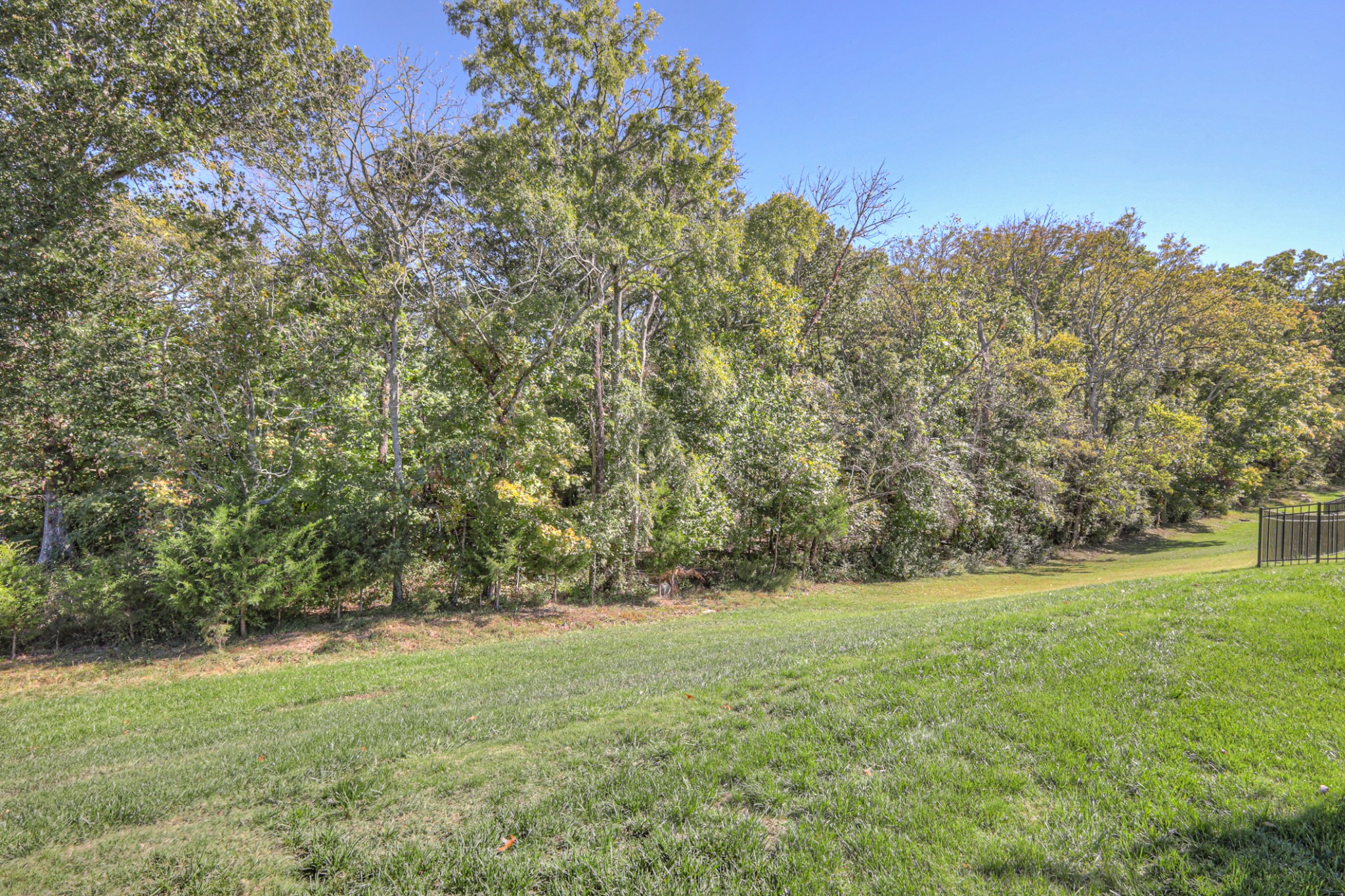 103 Pima Trail Lebanon, TN 37087 - Photo 52 of 53
