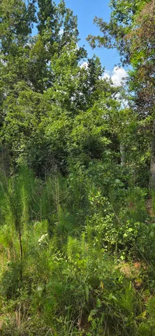 $19,500 | 0 Cherokee Drive, North Augusta, SC 29841