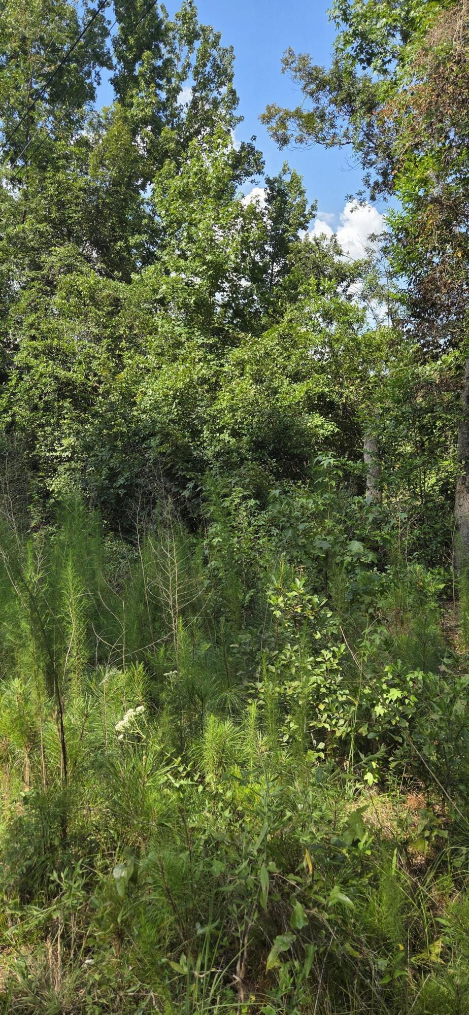 0 Cherokee Drive North Augusta, SC 29841 - Photo 4 of 5 20250725_163815