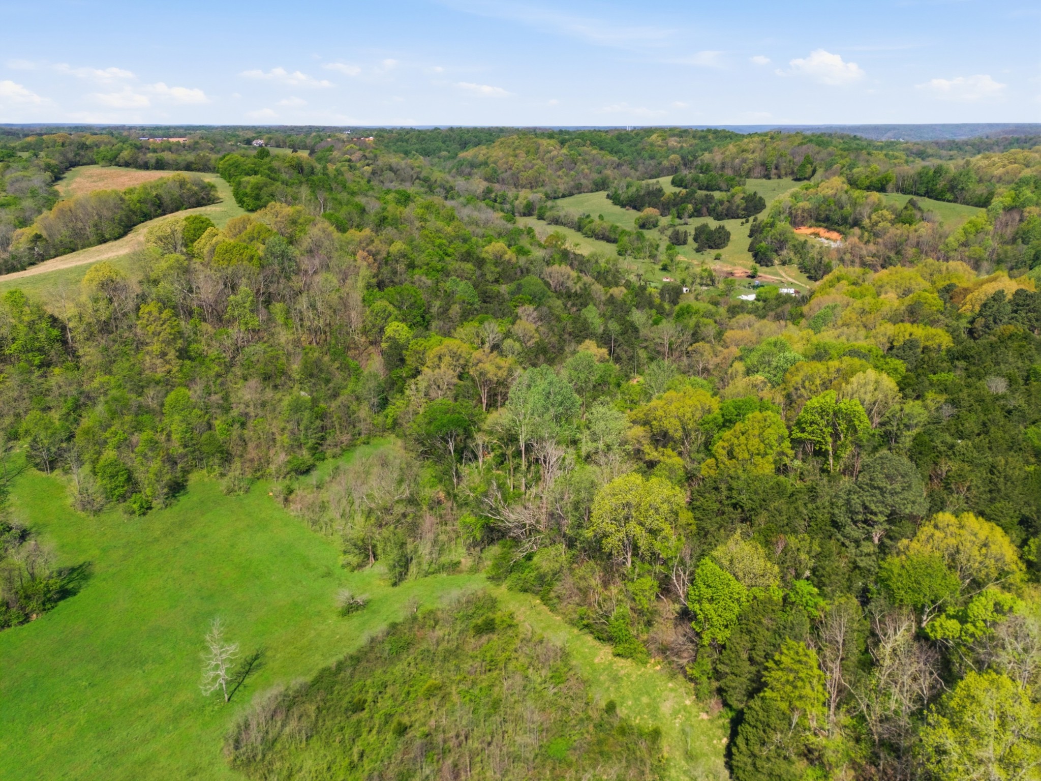 66 Thompson Hollow Road Taft, TN 38488 - Photo 5 of 8 Gallery Image 5