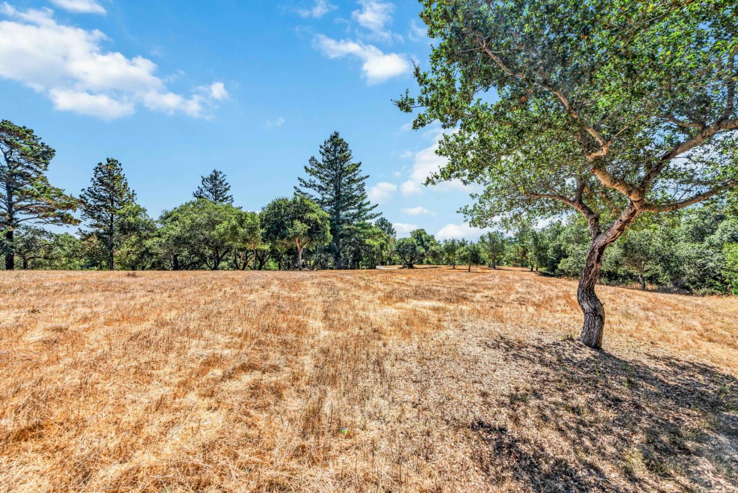 3400 Old Pilkington Road Santa Cruz, CA 95065 - Photo 33 of 69 Gallery Image 33