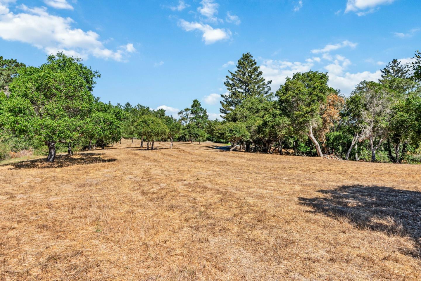 3400 Old Pilkington Road Santa Cruz, CA 95065 - Photo 34 of 69 Gallery Image 34