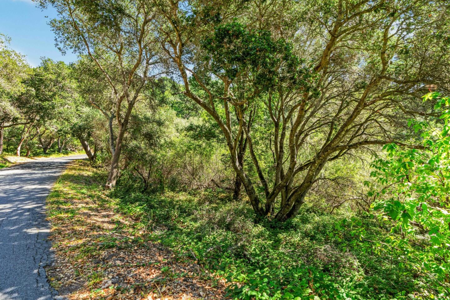3400 Old Pilkington Road Santa Cruz, CA 95065 - Photo 38 of 69 Gallery Image 38