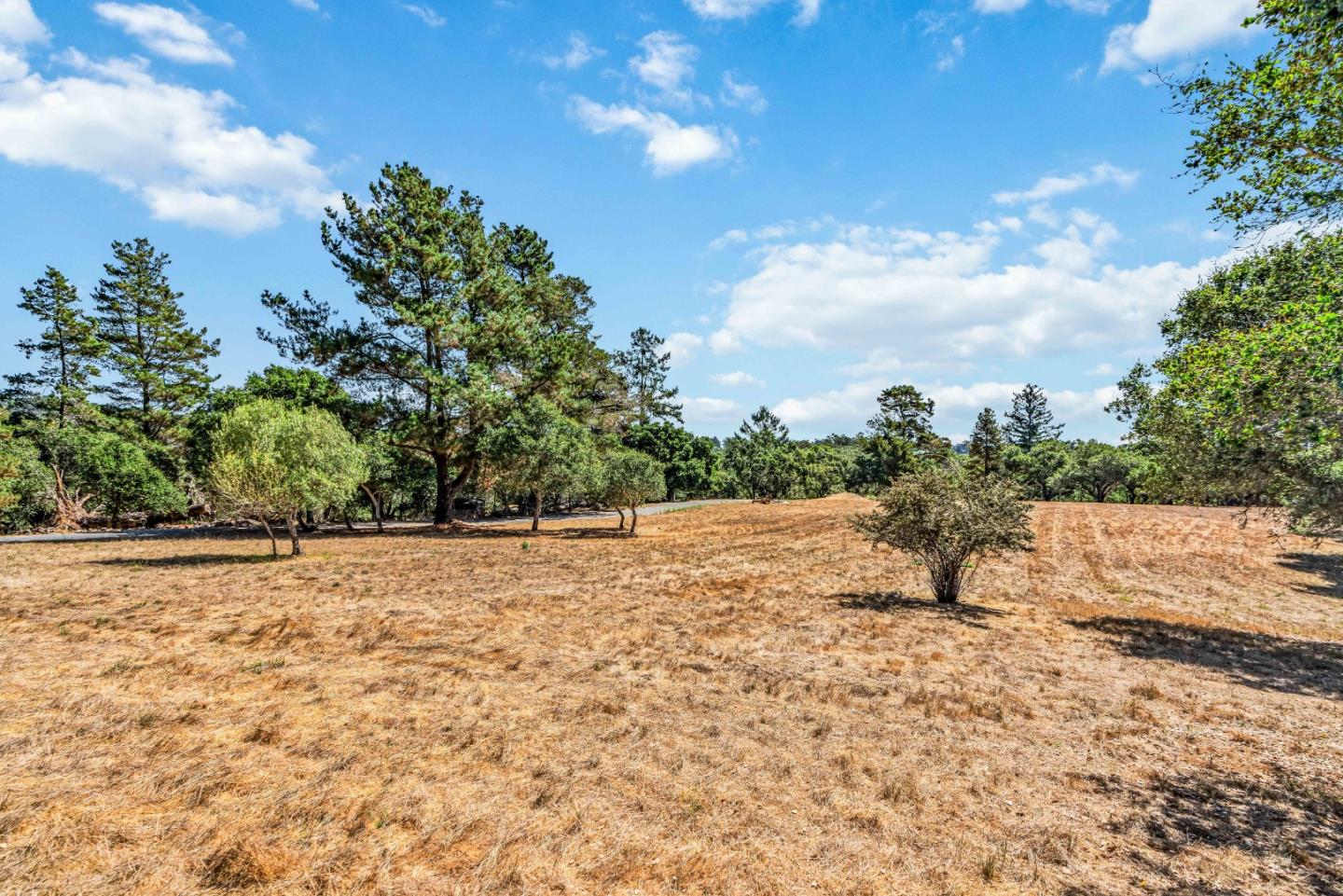 3400 Old Pilkington Road Santa Cruz, CA 95065 - Photo 47 of 69 Gallery Image 47