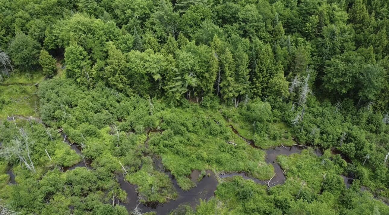 Lot 14 Hanslip Road Wilton, ME 04294 - Photo 3 of 11