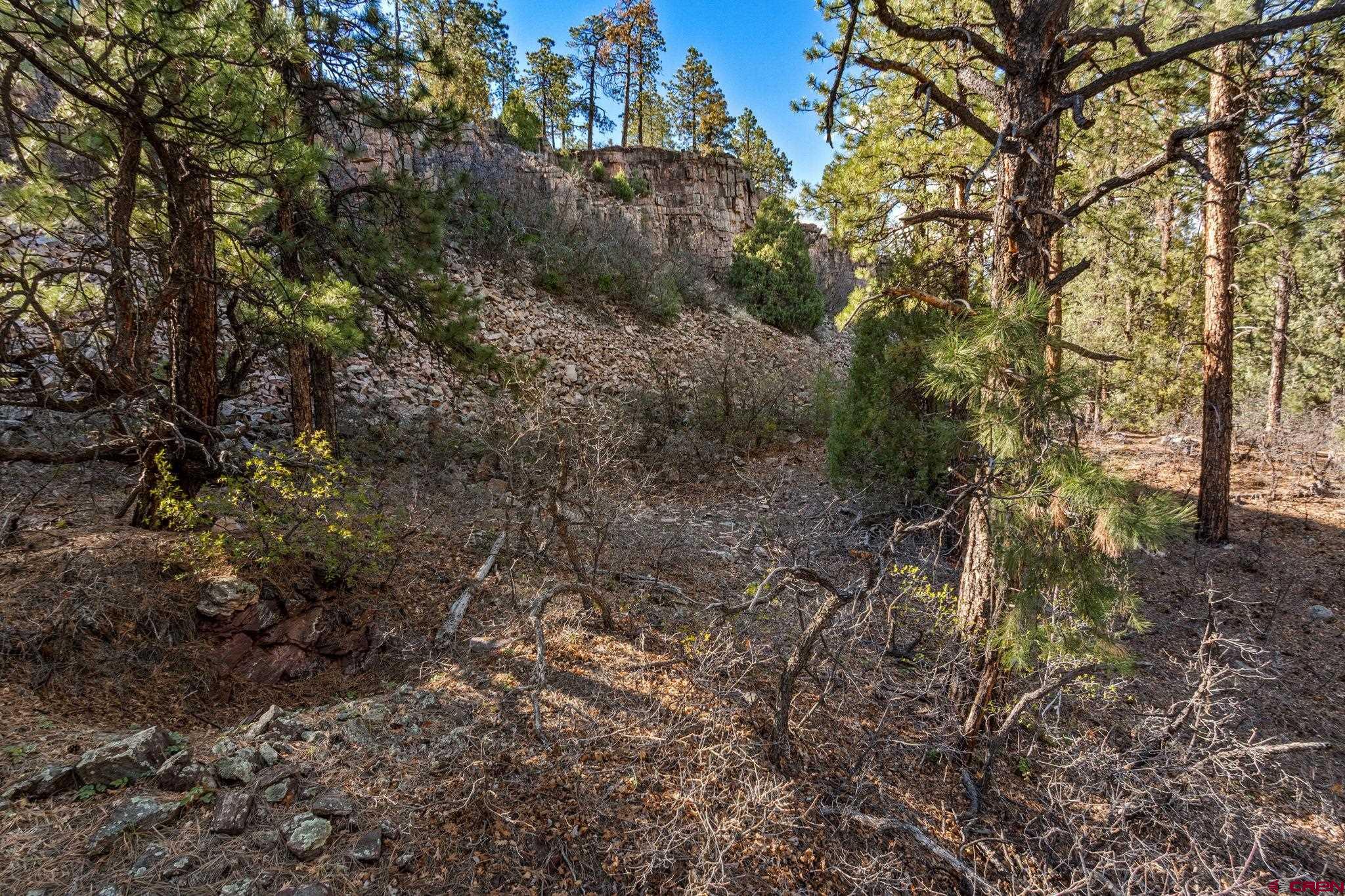 47 Ambush Canyon Durango, CO 81301 - Photo 13 of 18