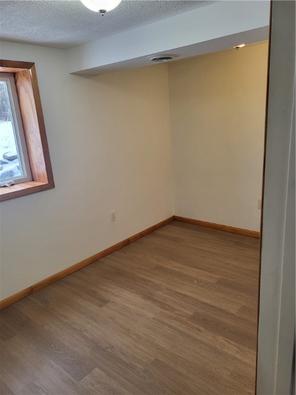 4199 West Hill Road Hornby, NY 14870 - Photo 19 of 28 lower level bedroom