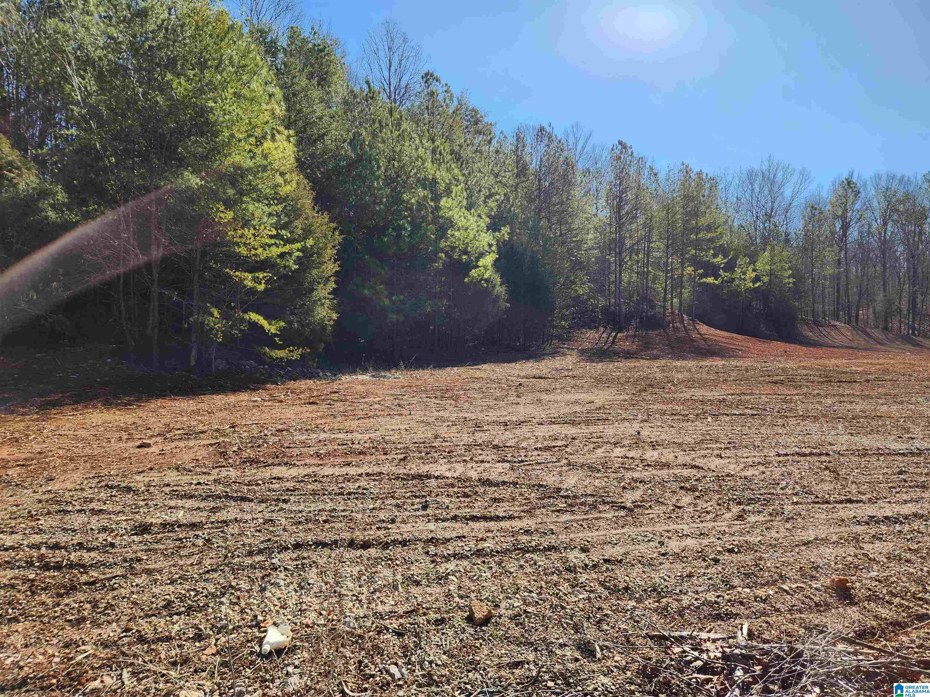 0 Spring Creek Road, Unit 3 Columbiana, AL 35051 - Photo 3 of 14