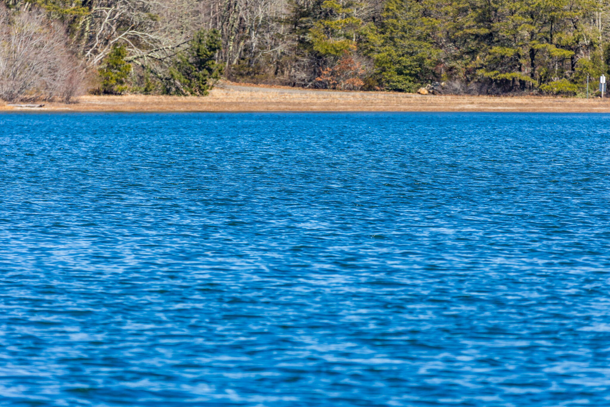 320 Long Pond Road Marstons Mills, MA 02648 - Photo 25 of 48 50-8P0A8354