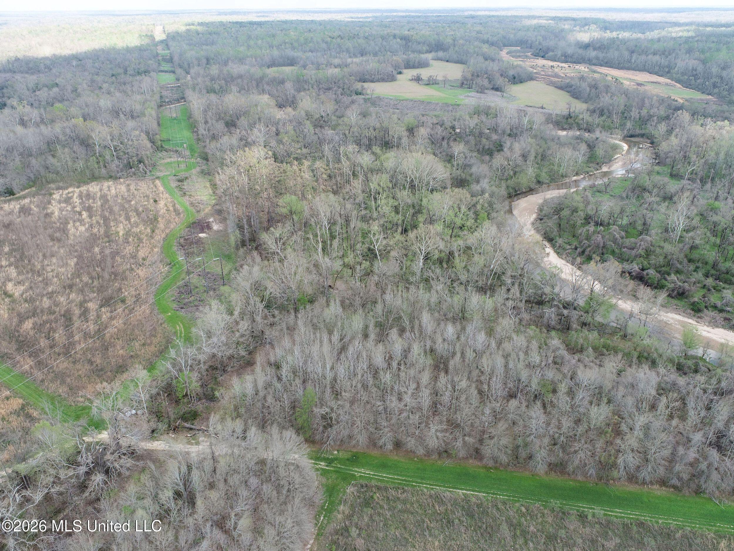 Chinqupin Road Lexington, MS 39095 - Photo 89 of 210 7chqpn19