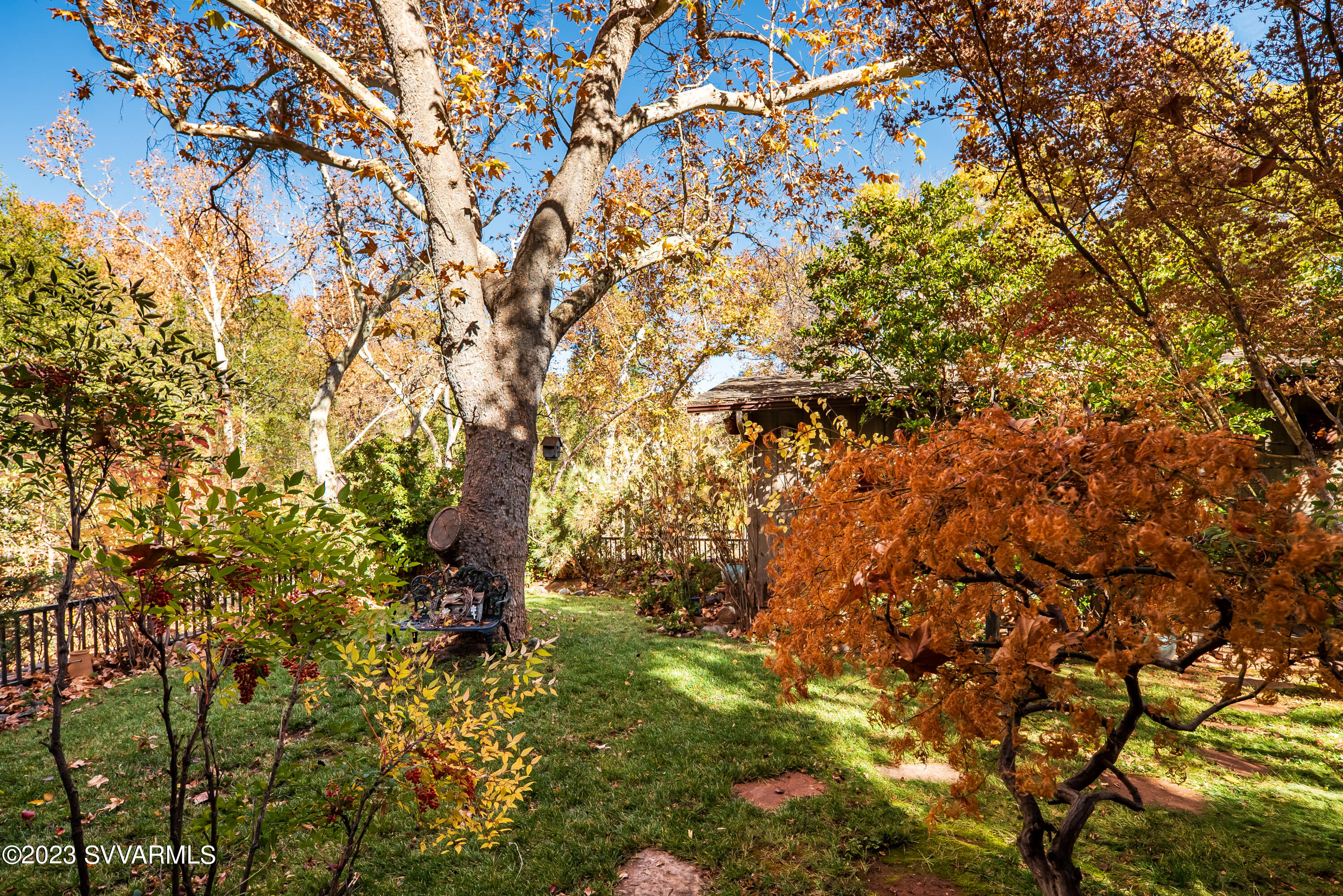 45 Copper Cliffs Lane Sedona, AZ 86336 - Photo 34 of 39 a view of a tree