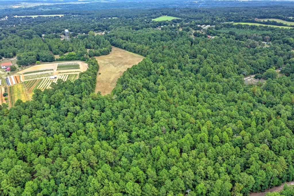182 New Bridge Road Aiken, SC 29801 - Photo 4 of 18