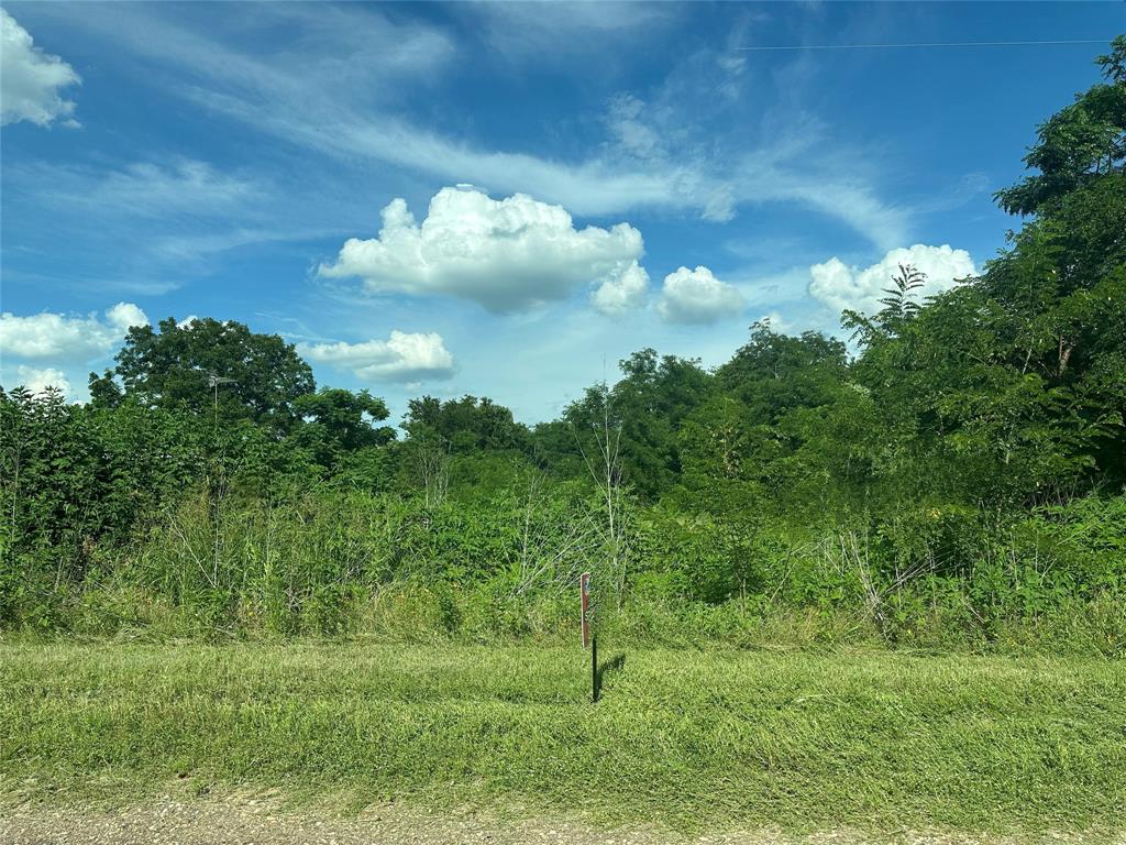 287 County Road 287 Marlin, TX 76661 - Photo 4 of 5 a view of a bunch of trees in a yard