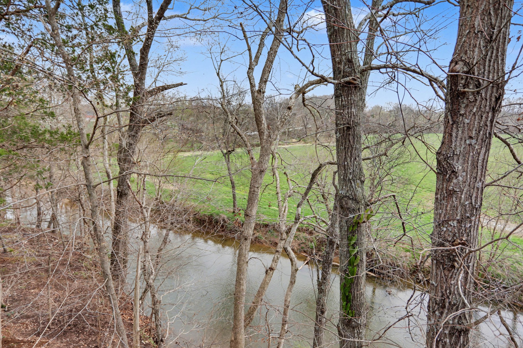 6241 Highway 49 East Springfield, TN 37172 - Photo 29 of 89