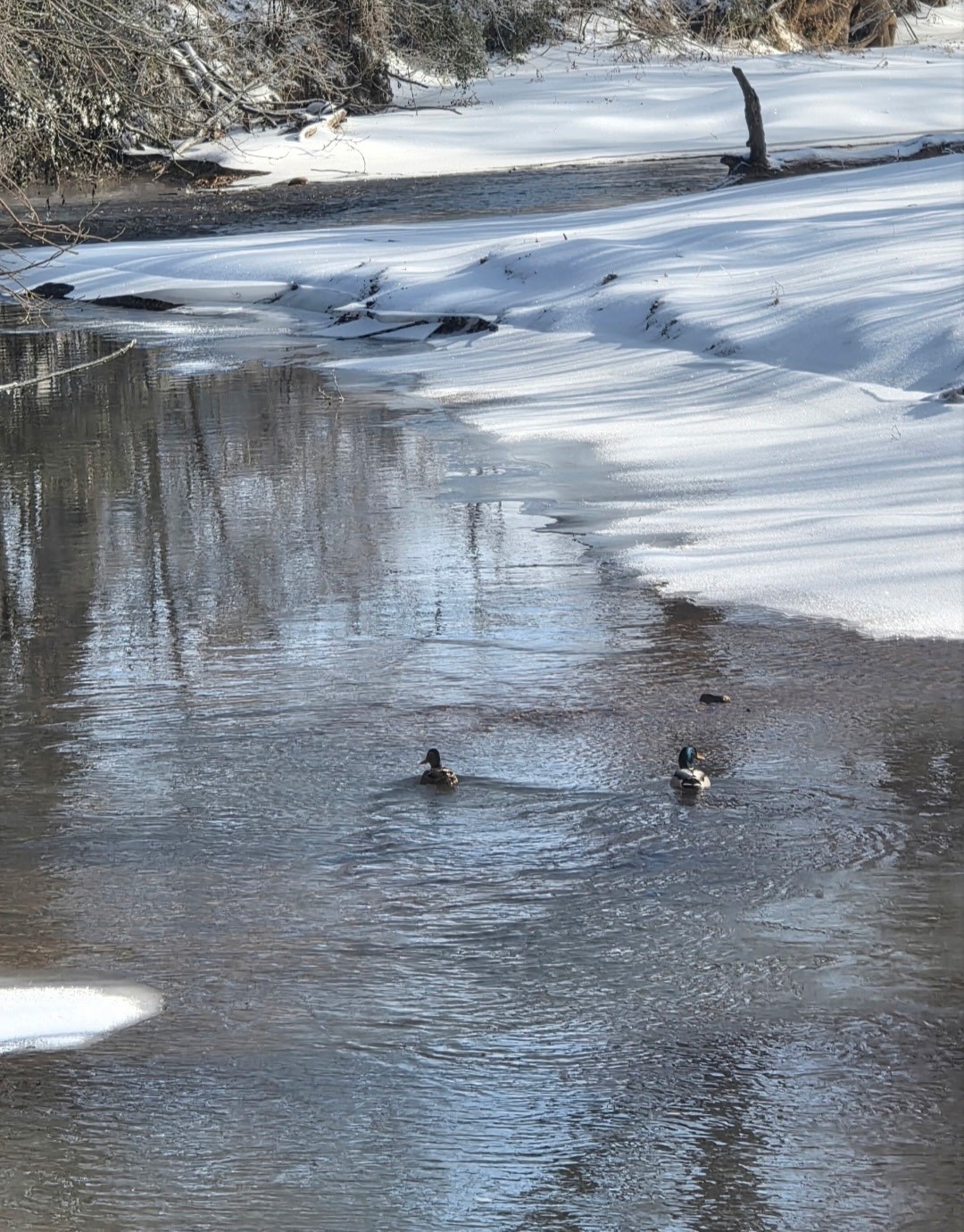 6241 Highway 49 East Springfield, TN 37172 - Photo 71 of 89