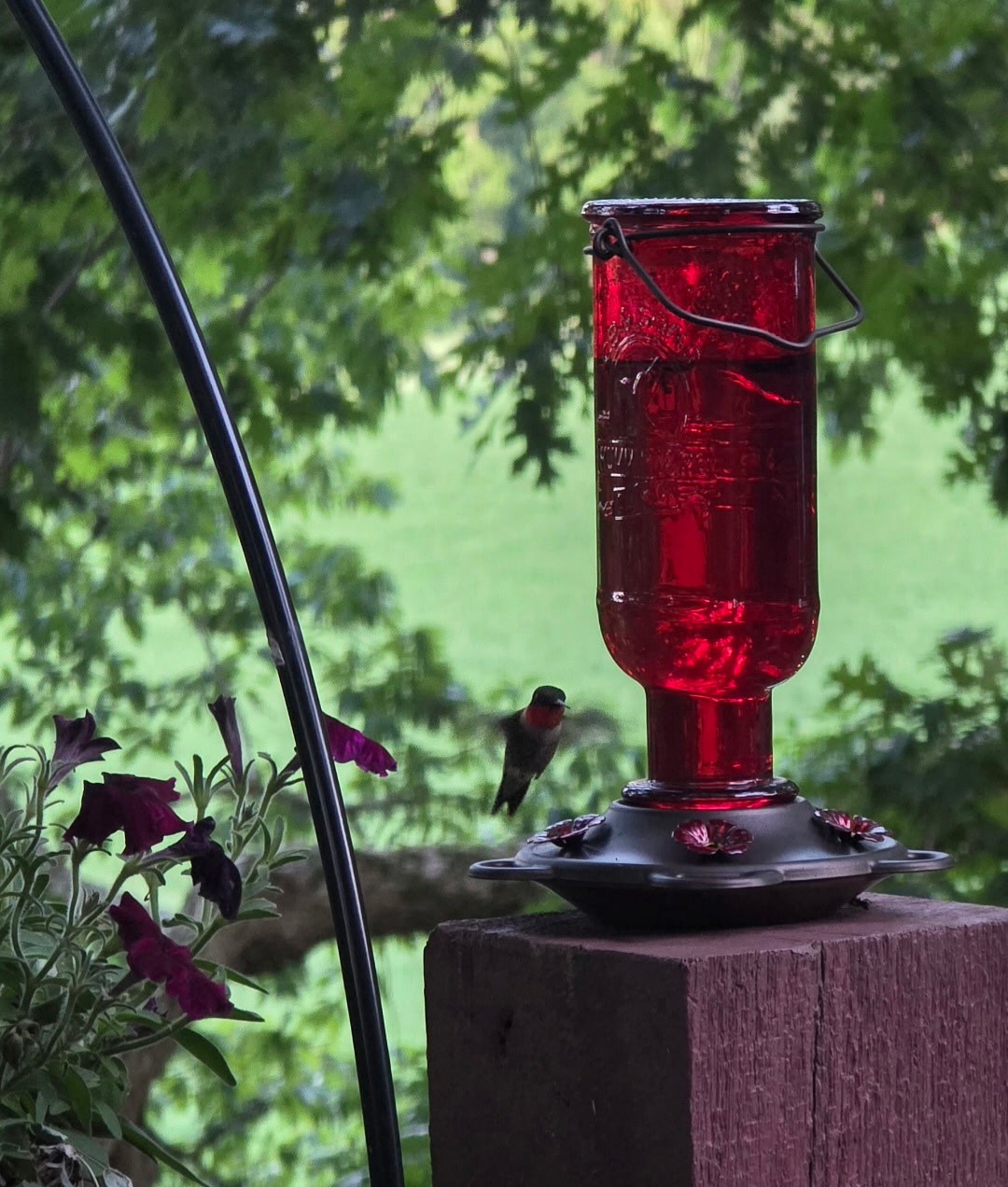 6241 Highway 49 East Springfield, TN 37172 - Photo 73 of 89